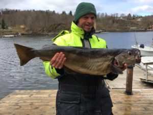 2017.04.27, Pollak 7,6kg, Ralf aus Bonn