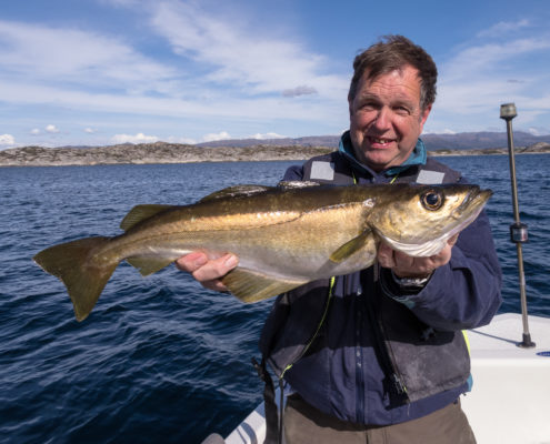 Dann schlägt er zu Pollak 4,5kg